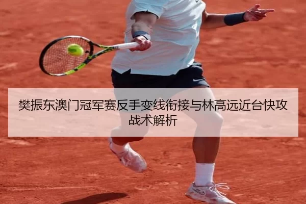 樊振东澳门冠军赛反手变线衔接与林高远近台快攻战术解析